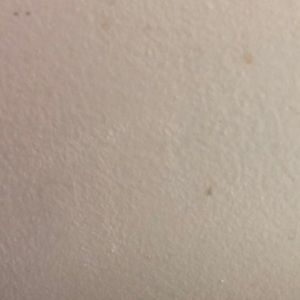 Meet your Posher, Nicquearl